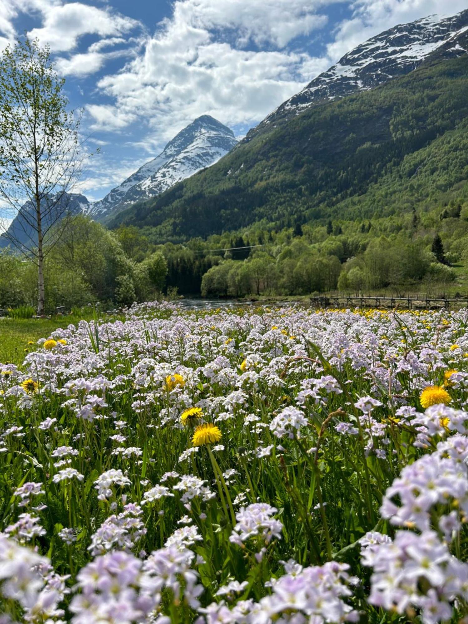 Naustvoll Villa Olden Dış mekan fotoğraf